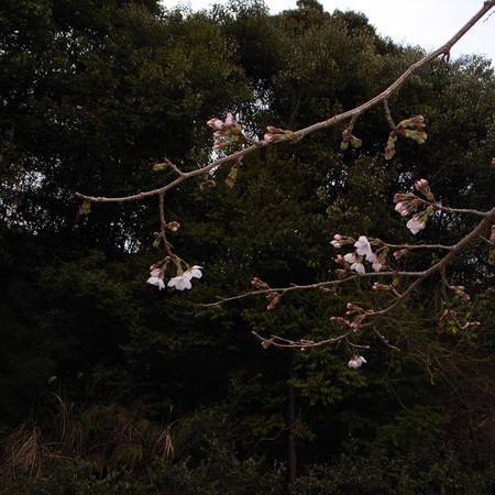 \CVm_03